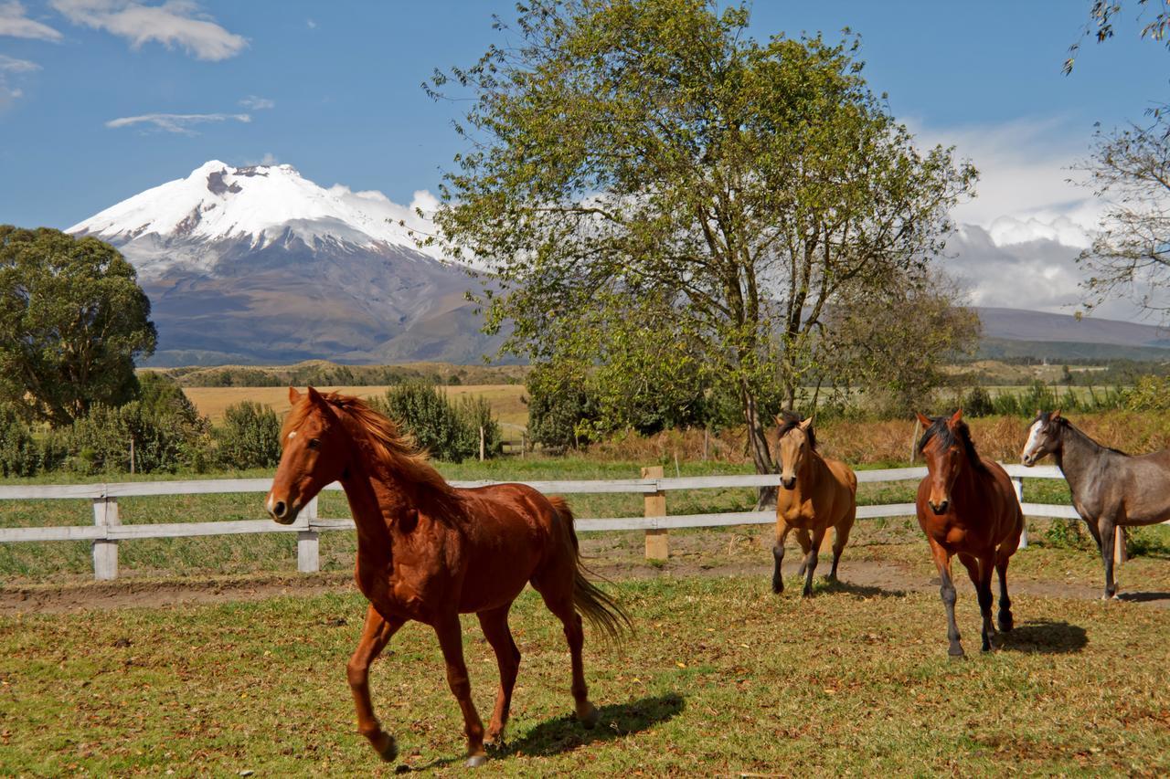 Hacienda San Agustin De Callo ラッソ エクステリア 写真